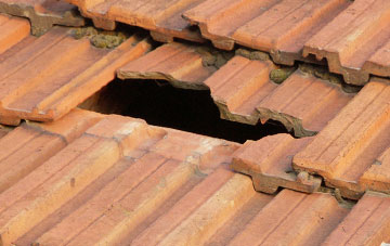 roof repair Foel, Powys