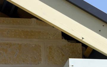 soffit repair Foel